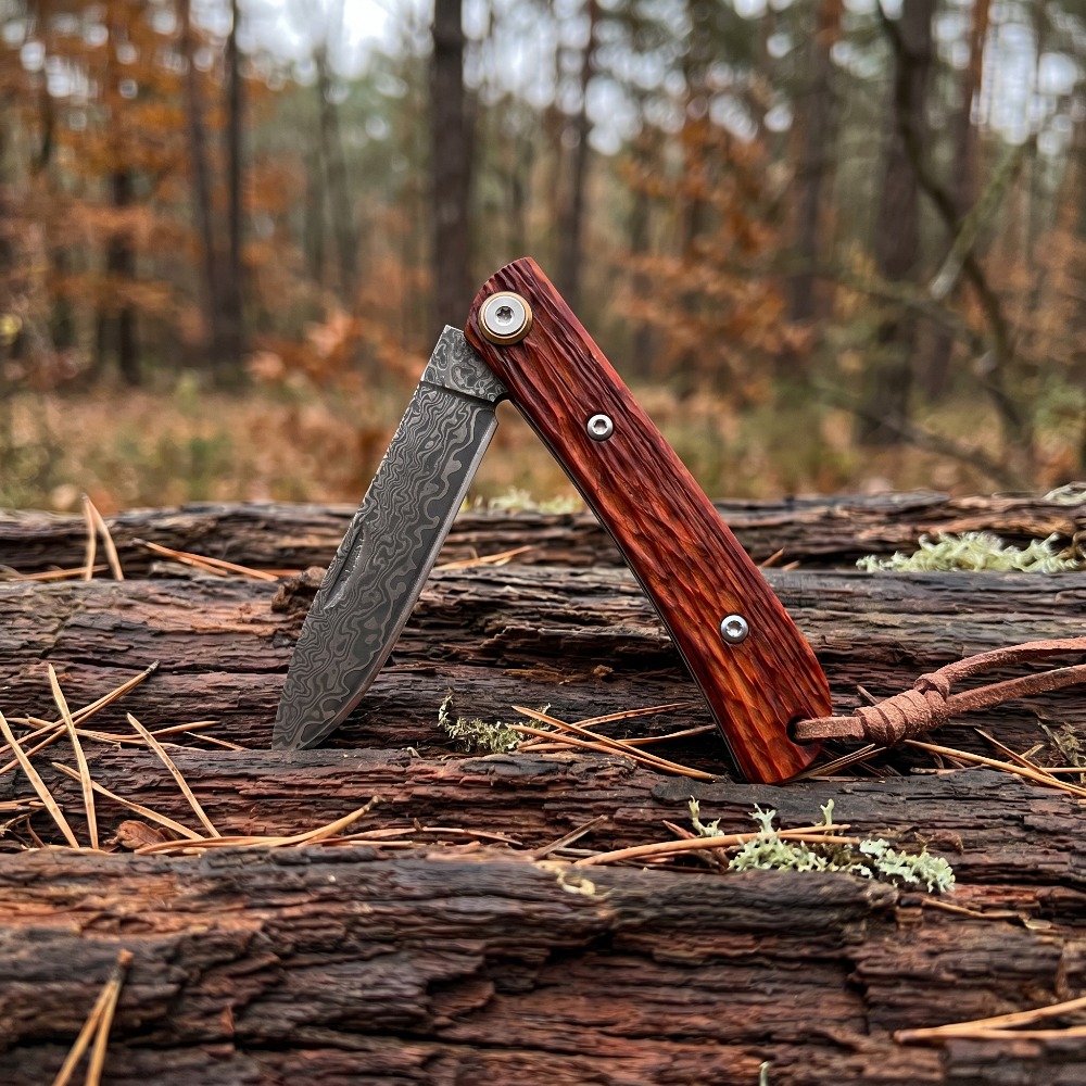 Hochwertiges Klappmesser mit r – Edc Daily Carry Bewertung und Preis